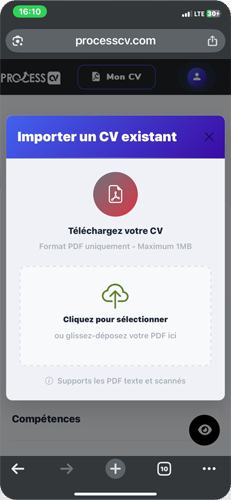 Modèle de CV Moderne